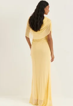 Cape Mesh Gown