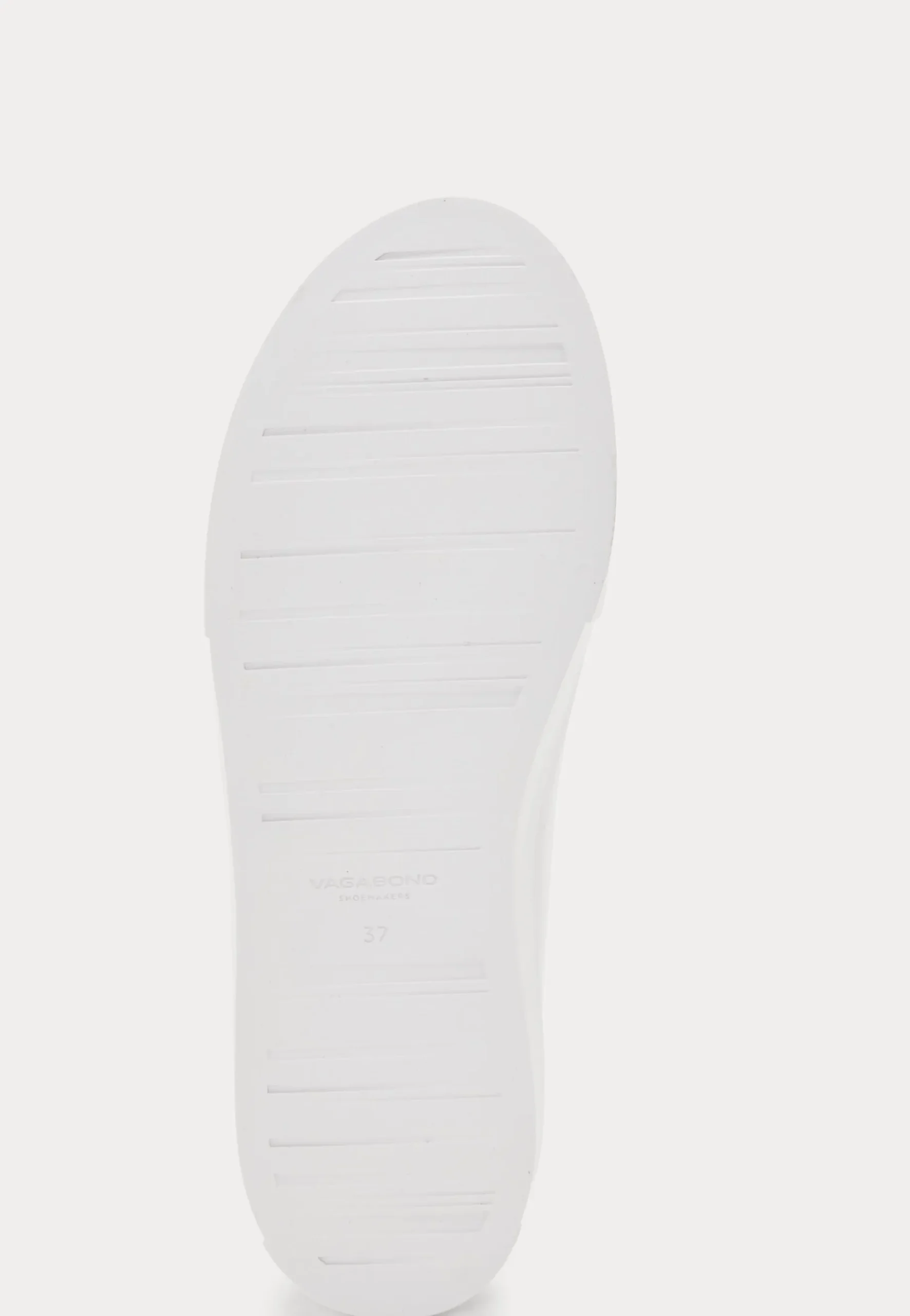 Cody Sneakers
