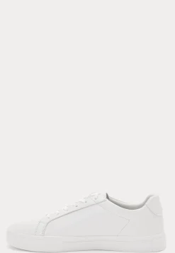 Cody Sneakers