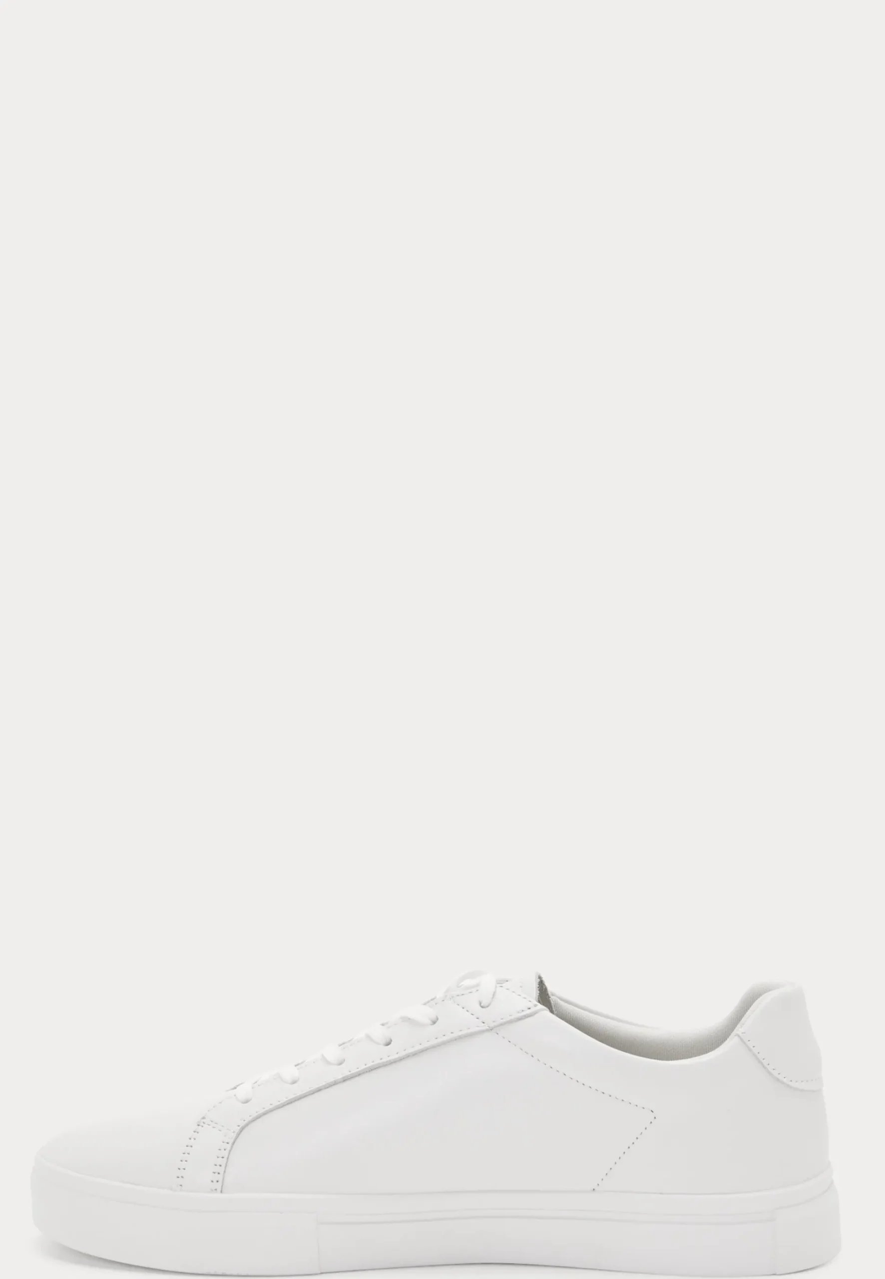 Cody Sneakers