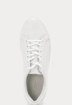 Cody Sneakers