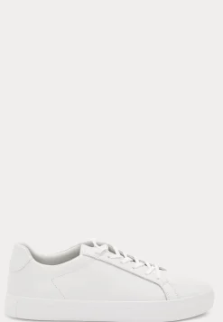 Cody Sneakers