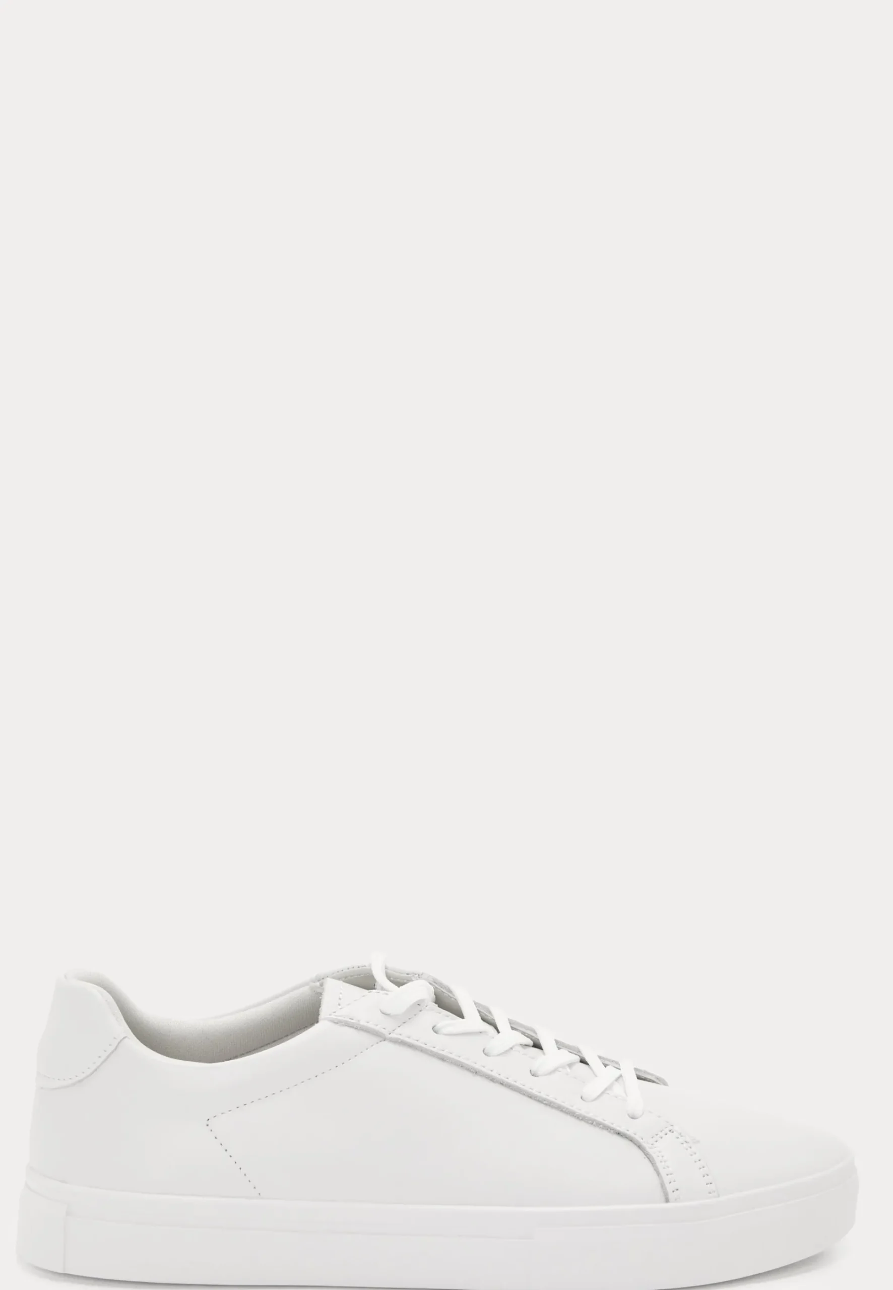 Cody Sneakers