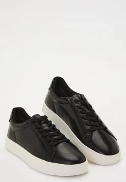 Cody Sneakers
