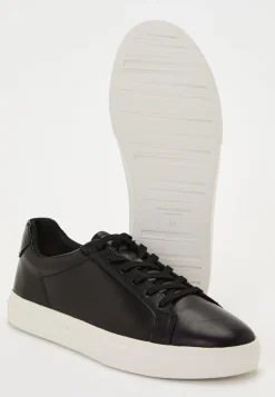 Cody Sneakers