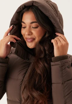Falcon Jacket