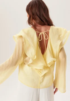 Flounce Sheer Blouse