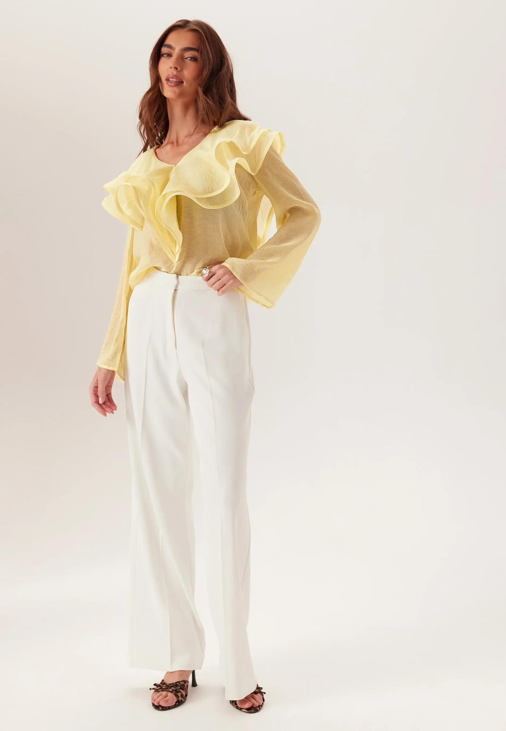 Flounce Sheer Blouse