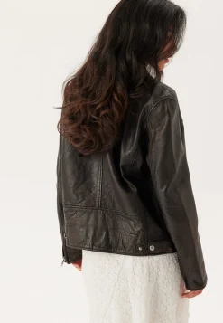 Starling Jacket